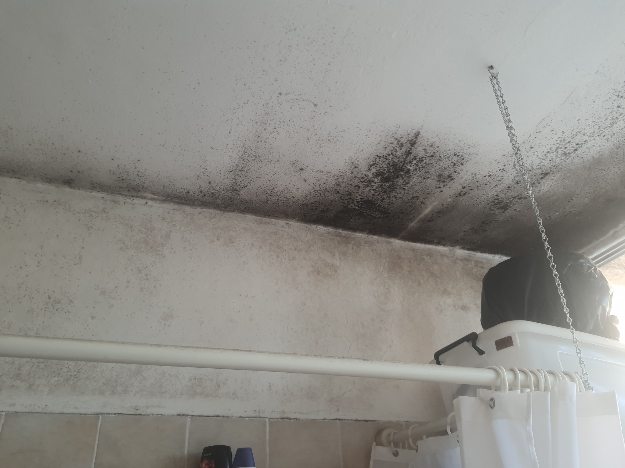 איטום מבנים